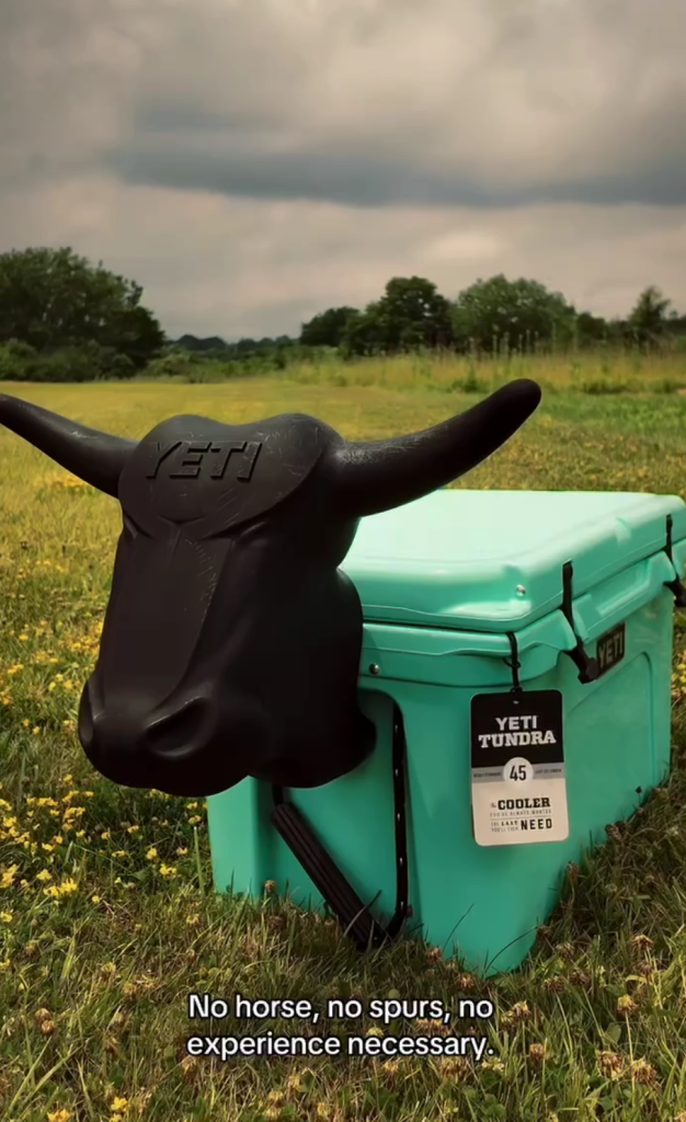 Image fo the Ladderside prize - a YETI cooler in Ladderside teal with a fake steer head for roping.
